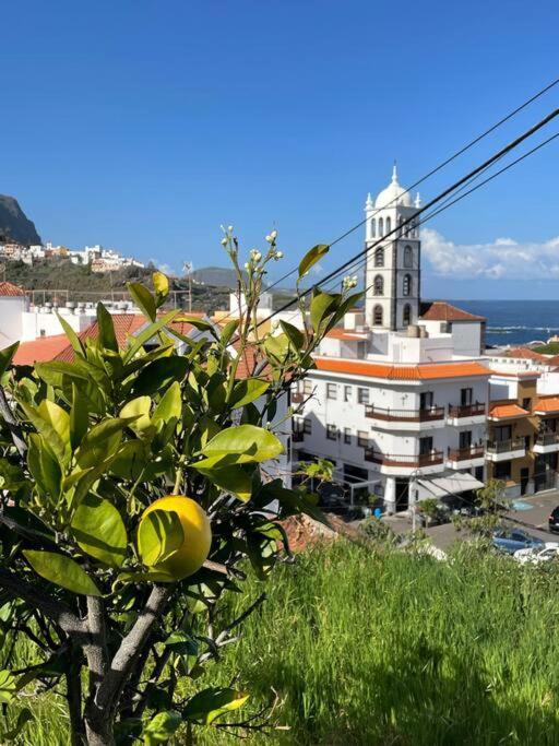 Bonita Casa En El Corazon Del Pueblo! Villa Carmen Garachico  Eksteriør billede